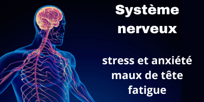 Système nerveux: les plantes du stress, de la fatigue, des maux de tête